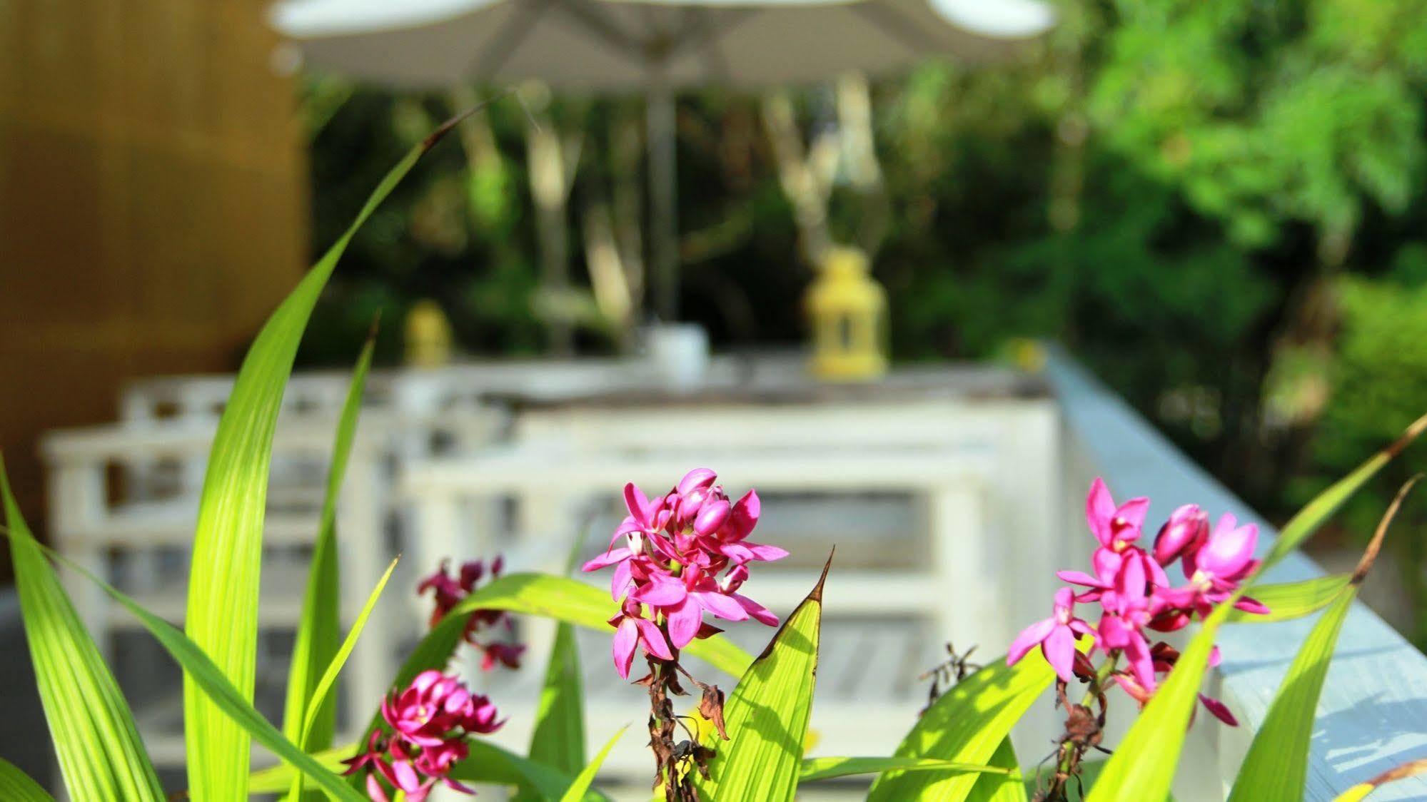 Emis Hotel Phu Quoc Luaran gambar